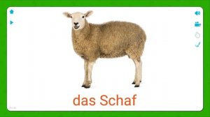 Haustiere / Bildung für Kinder / Учим Животных на НЕМЕЦКОМ языке / Zeichentrickfilme für Kinder