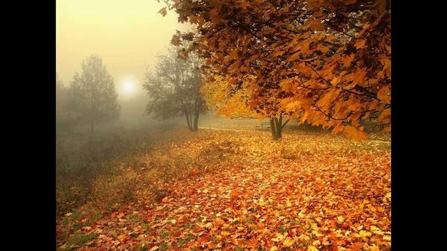 «Рябиновое танго», музыка Владимира Мигули, стихи Юрия Гарина, поёт Инна Вачнадзе смотреть онлайн