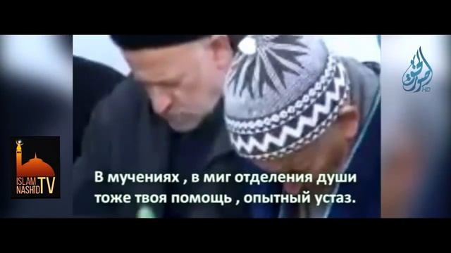 Признаки Судного дня смотреть онлайн