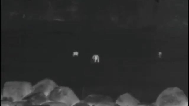 Pulsar XQ38F Test смотреть онлайн