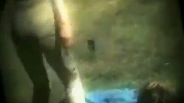 необъяснимо но факт