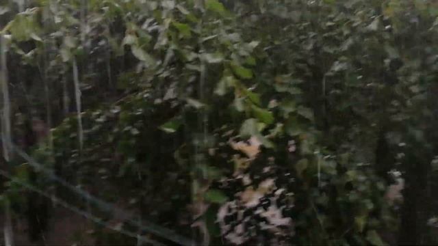 Ливень 28 июля в Нальчике! ???? смотреть онлайн