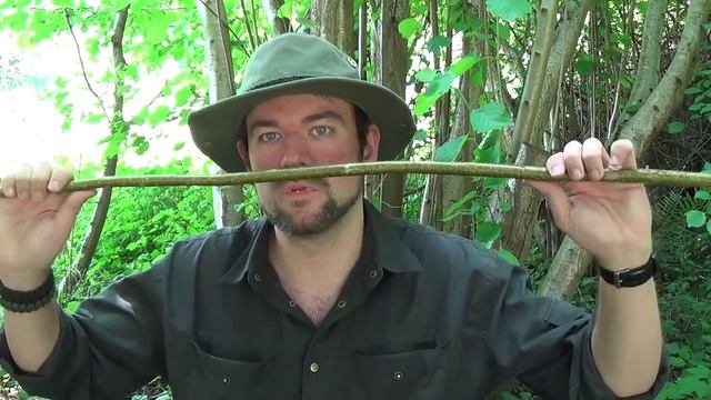 Baumwissen für Bushcrafter - Strauchhasel (Corylus avellana) смотреть онлайн