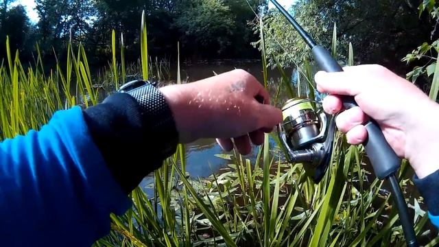 ЩУКА против ГОЛАВЛЯ!Ловля на микро-речке смотреть онлайн