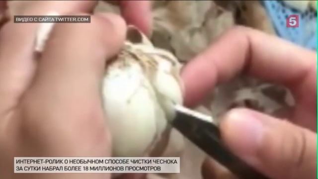 Сеть покоряет видео о том, как легко почистить чеснок смотреть онлайн