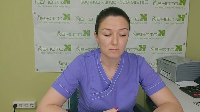 Травмы позвоночника у собак и кошек смотреть онлайн