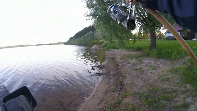 Можайское вдхр. Горетово. Ловля на пикер в мае. смотреть онлайн