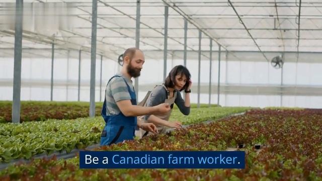 Farm jobs in canada with free visa sponsorship 2023-2024 смотреть онлайн