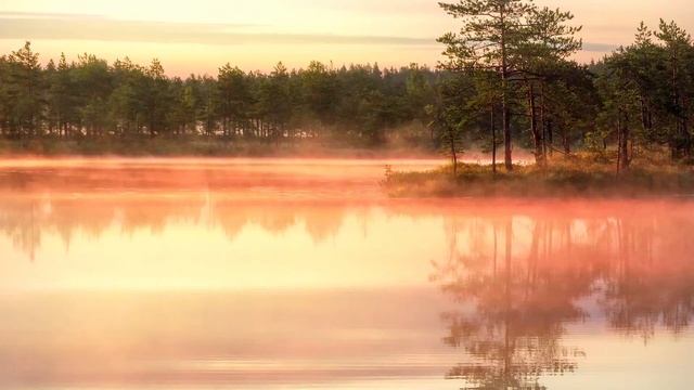 Фототур на болото. Июль 2019 смотреть онлайн