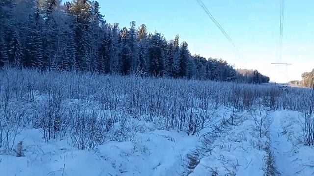 Вега сработала идеально.