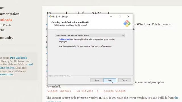 ✅COMO INSTALAR GIT BASH EN WINDOWS - PASO A PASO 2022 смотреть онлайн