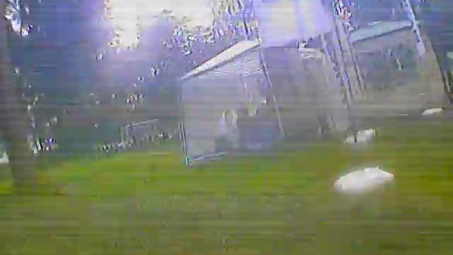 разминка перед соревнованиями под дождем смотреть онлайн