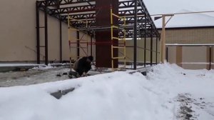 Гараж из проф трубы 8 на 6 часть 2