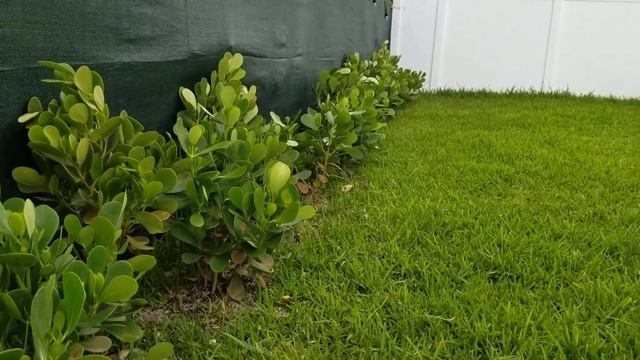 Gardeners the ECHO EA 410 is your go to tool for planting echo means business смотреть онлайн