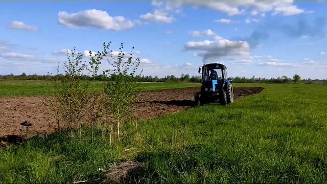 готую поле для посіву овса.
згорав і закультивував, і дав добриво нітроамофоску. смотреть онлайн