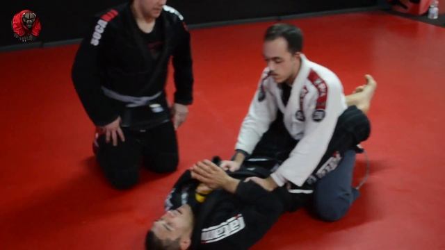 Reverse Kimura in sambo and bjj смотреть онлайн