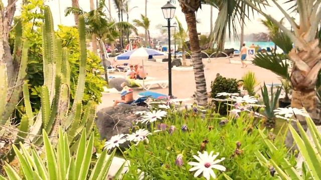 [4K] Lago De Martianez, Puerto De La Cruz, Tenerife, Canary Islands, Spain смотреть онлайн