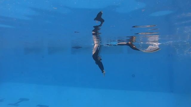 How to Duck dive for freediver. смотреть онлайн