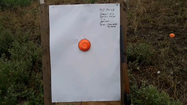 Отстрел патронов 28 калибра из ружья ТОЗ-34 на латуни и различных пыжах.