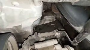 Peugeot 406 Chassis And Engine number location# Vin location