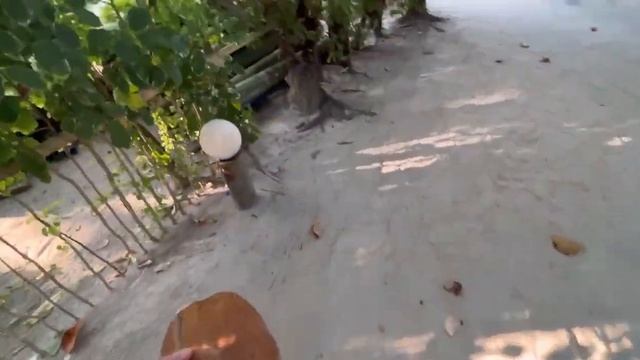 влог парадеевич отдыхает на необитаемом острове смотреть онлайн