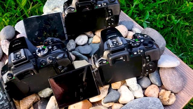 Comparativa Nikon D5600 VS Nikon D5500 VS Nikon 5300 | VERSUS | Español Latino