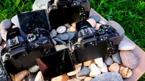 Comparativa Nikon D5600 VS Nikon D5500 VS Nikon 5300 | VERSUS | Español Latino