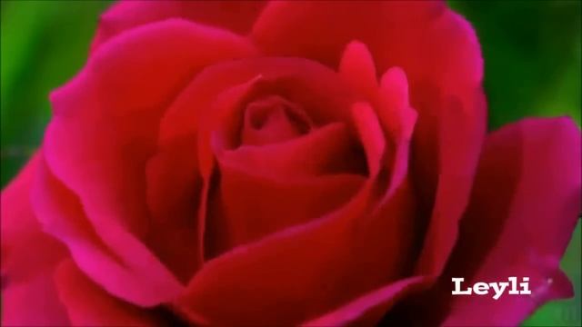Richard Clayderman - Kıyamam смотреть онлайн