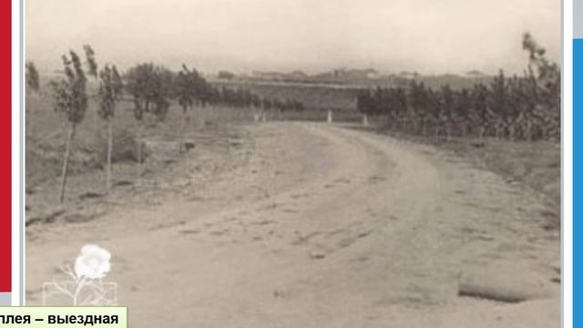 история создания Ростовского ботанического сада.mp4 смотреть онлайн