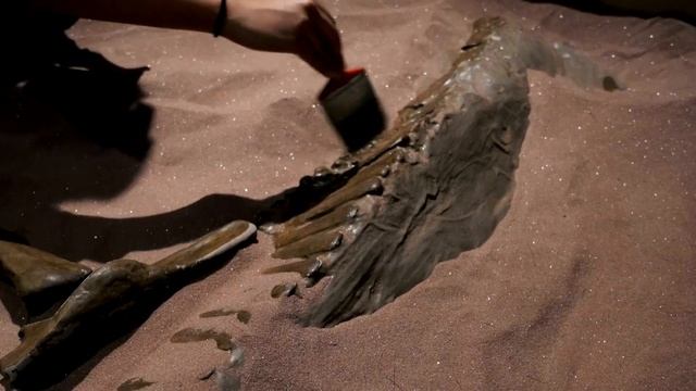 7 фактов о морских свинках смотреть онлайн