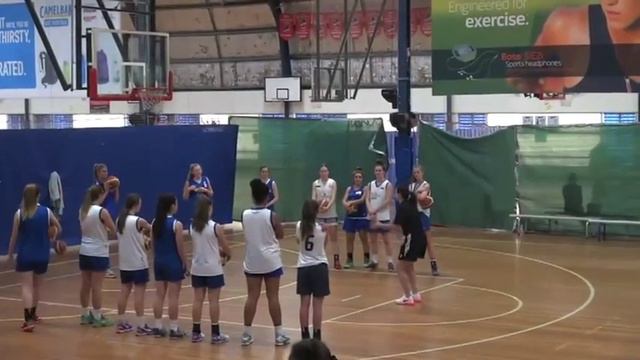 Sandy Brondello Clinic смотреть онлайн