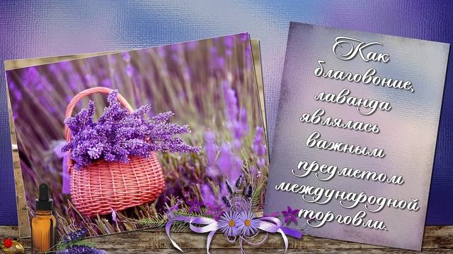 ЛАВАНДОВАЯ МАГИЯ смотреть онлайн