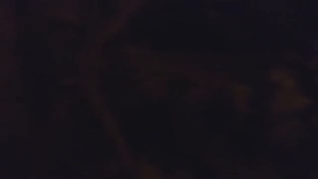 в гостях у сказки смотреть онлайн