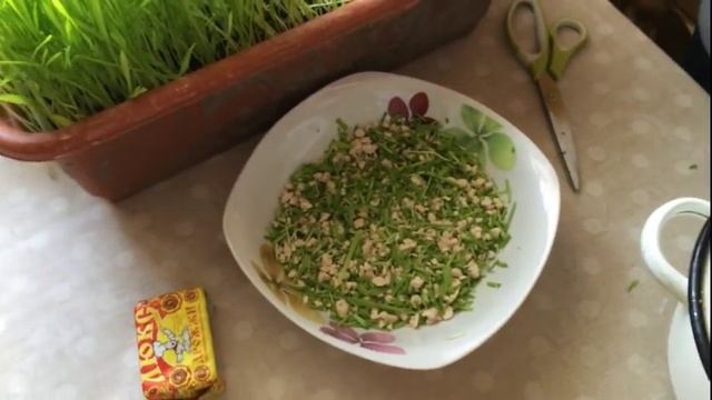 Дрожжи для кур как витаминная добавка/ Жизнь в деревне смотреть онлайн