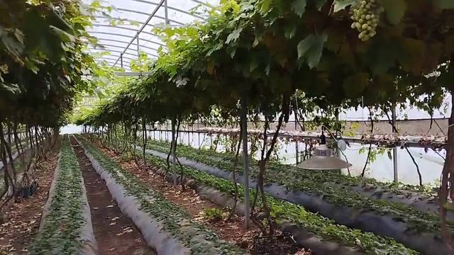 Воздушка для заморозки,обзор холодильника. смотреть онлайн