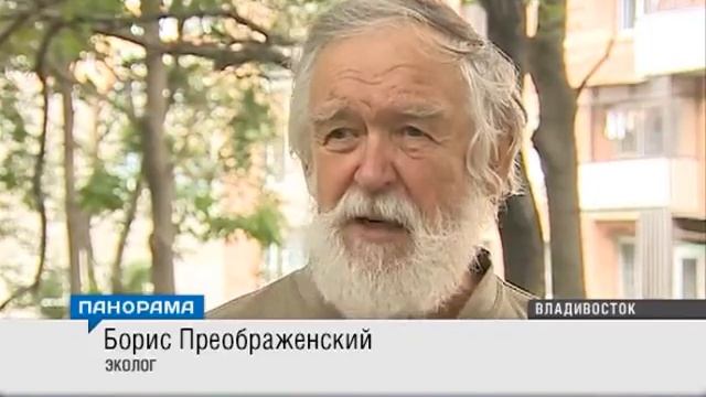 07 23 Угольная пыль Гнездилова 03 39 смотреть онлайн