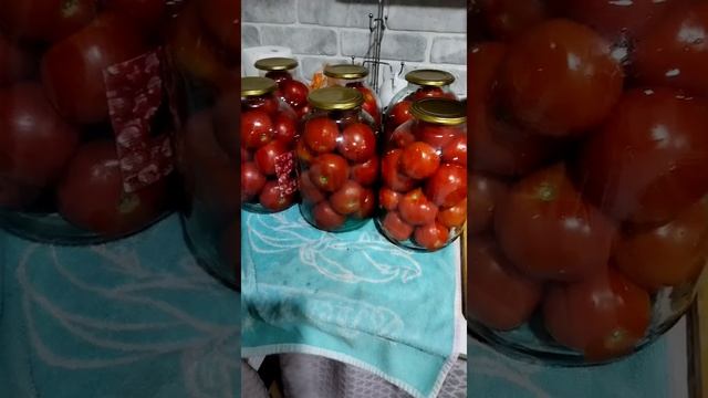 заготовки на зиму смотреть онлайн