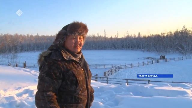 Николай Слепцов сылгытын хааччаҕар. смотреть онлайн