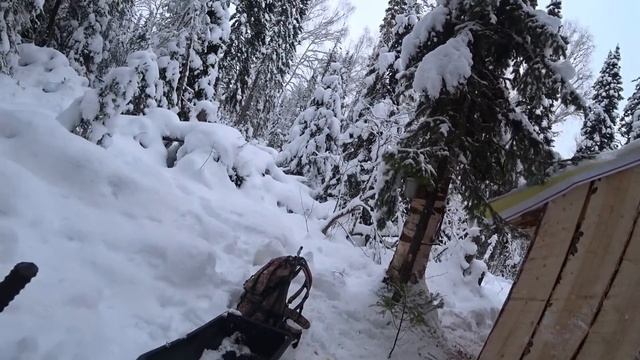 МЕДВЕДЬ ПРËТ НА ИЗБУ, Я ЗА НИМ. ВСТАВИЛ ДВА ОКНА В ЗИМОВЬЕ. смотреть онлайн