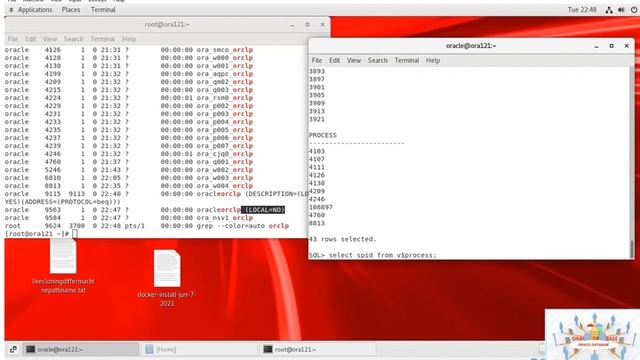 Oracle Non Multitenancy Database Architecture - Lesson - 10 смотреть онлайн