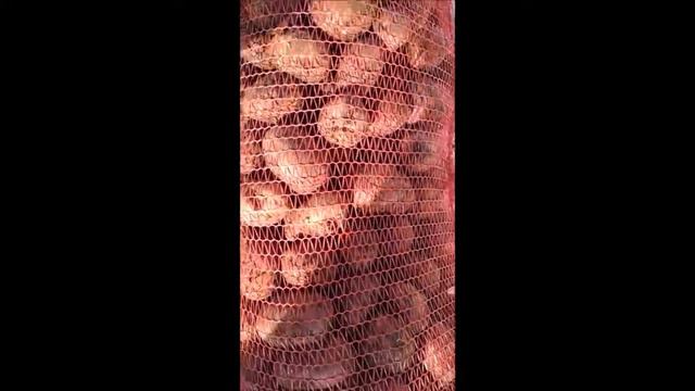 11.02.2019г. РЕД СКАРЛЕТ 2 СОРТ. ЦЕНА: 7.5.р/кг. смотреть онлайн