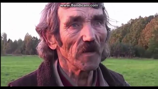 Графика и дизайн