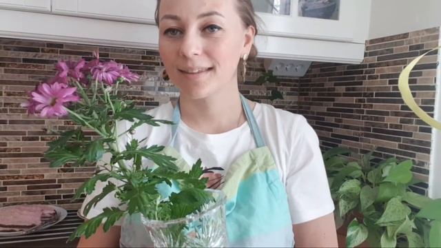 Språket i köket - *med undertexter* jag vill visa mitt kök och vi kan fika tillsammans ? смотреть онлайн