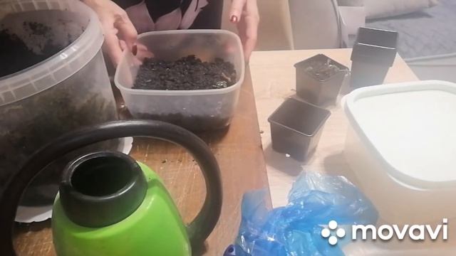 Посылка из питомника "Земляничная поляна" смотреть онлайн