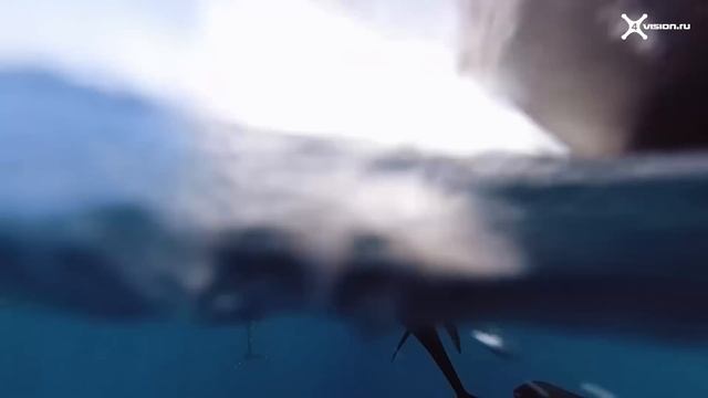 Встречайте - DJI Osmo Action