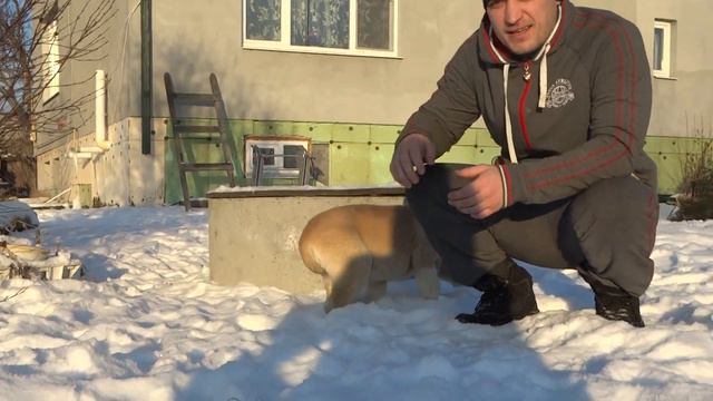 Гиджара и Габриель с Северного Урала 2 мес (4) смотреть онлайн