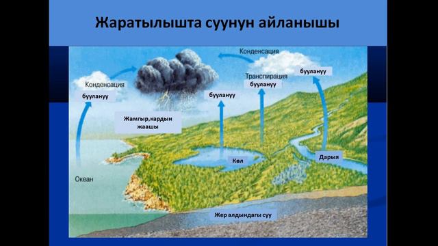 Биосферадагы заттардын айланышы. смотреть онлайн