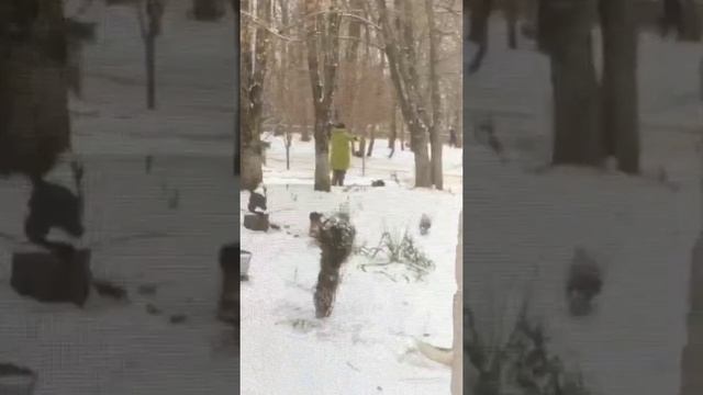 Найдена причина сильнейшего ветра в Ставрополе за всю историю. смотреть онлайн