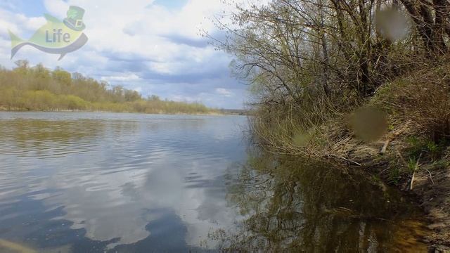 Как успешно ловить карпа в апреле мае? Секреты ловли карпа весной! Как и где искать карпа весной? смотреть онлайн