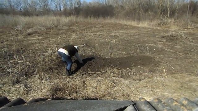 Посадка в грядки многолетнего лука, петрушки и щавеля. смотреть онлайн